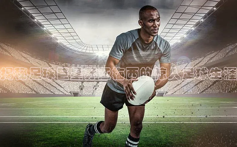 新宝gg开户登录小红书揭秘足球巨星苏亚梅西的惊人足球生涯