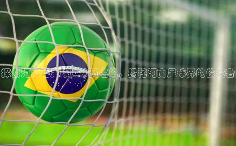 新宝gg创造奇迹登录注册玩法百度数据开放平台探索河南籍足球运动员名单，揭秘河南足球界的佼佼者