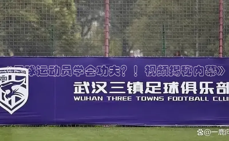 新宝gg注册登录入口视觉中国《足球运动员学会功夫？！视频揭秘内幕》