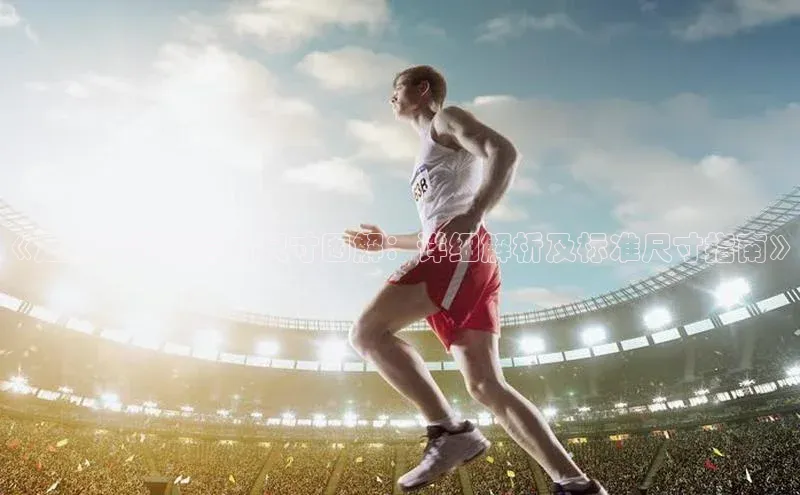 新宝gg平台注册官网百度学术《足球运动场看台尺寸图解：详细解析及标准尺寸指南》