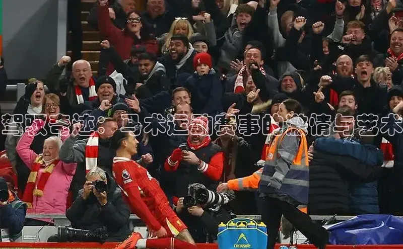 新宝gg创造奇迹平台总代理诸葛科技驾驭奇迹：马术运动赛事的激情与艺术