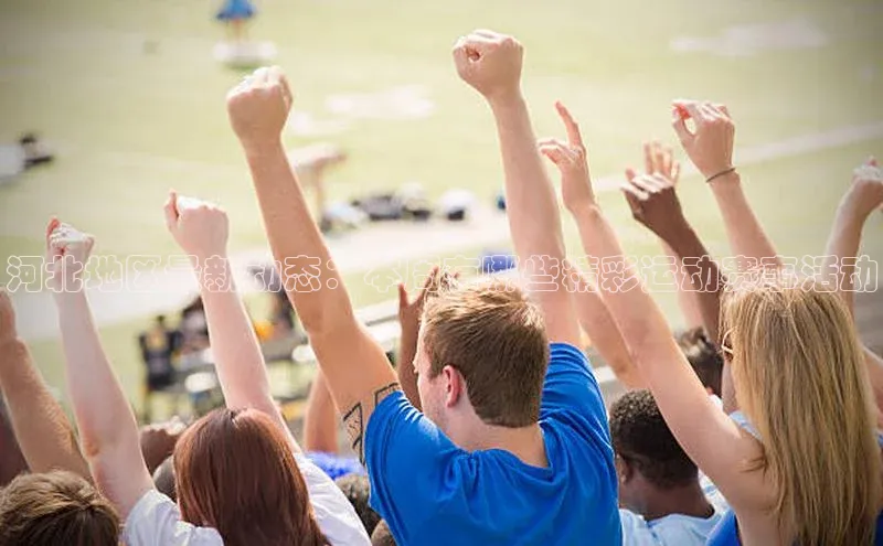 新宝gg官网登录地址华策影视河北地区最新动态：本周有哪些精彩运动赛事活动