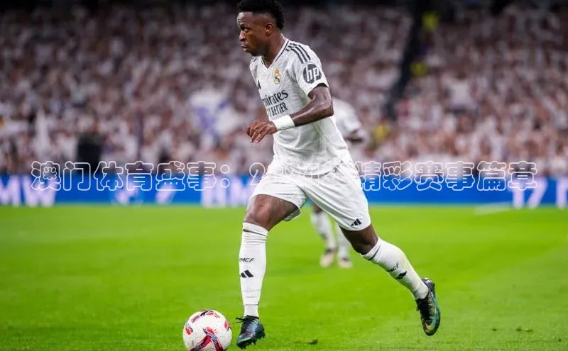 新宝gg在线注册百度翻译App澳门体育盛事：2024年精彩赛事篇章