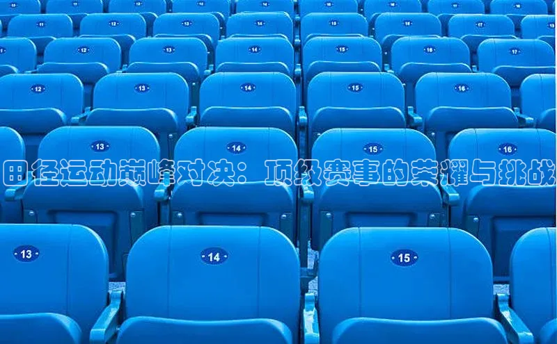 田径运动巅峰对决：顶级赛事的荣耀与挑战