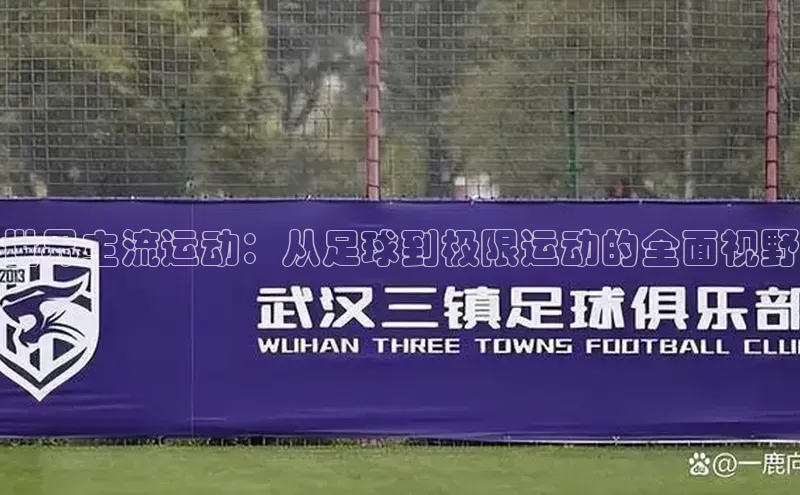 世界主流运动：从足球到极限运动的全面视野