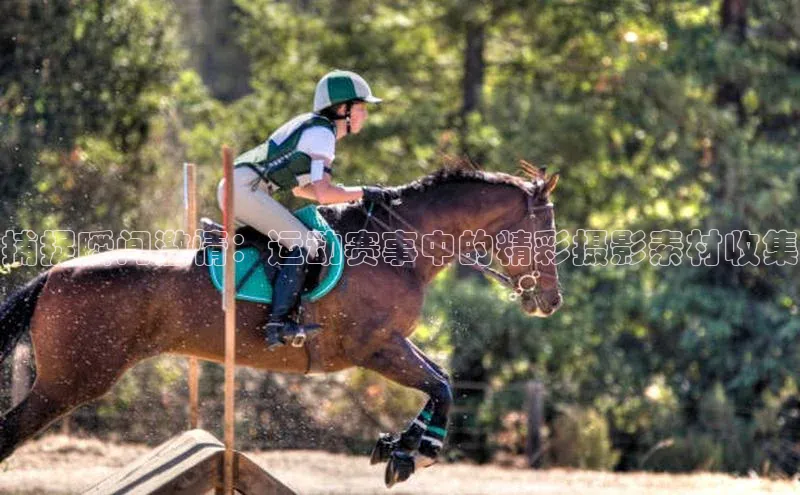 捕捉瞬间激情：运动赛事中的精彩摄影素材收集