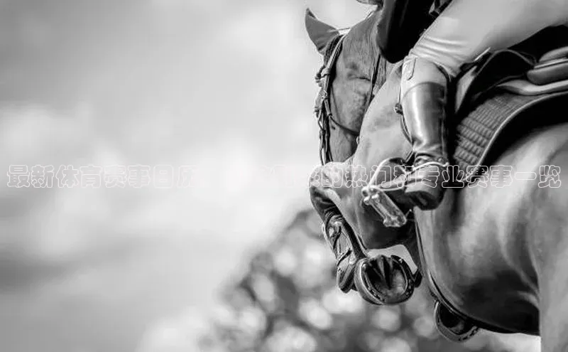 最新体育赛事日历：即将到来的热门和专业赛事一览