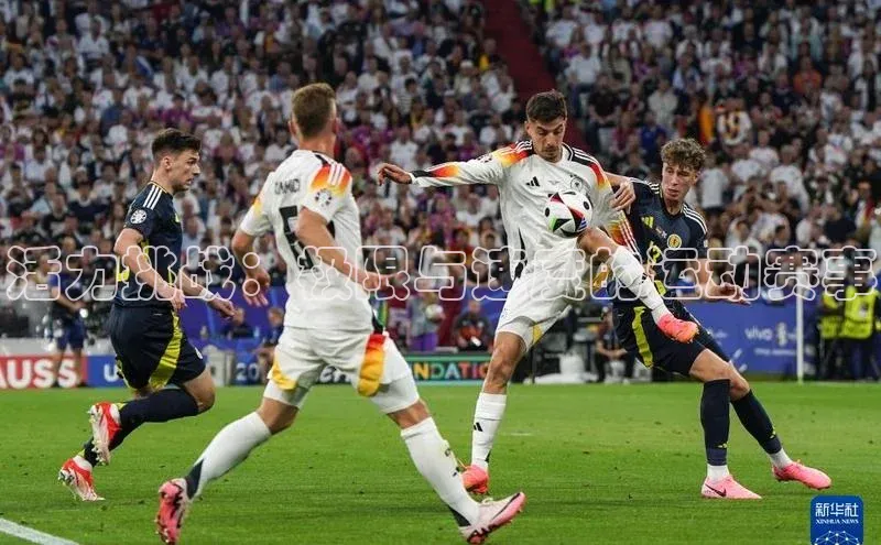 活力挑战：极限与速度的运动赛事