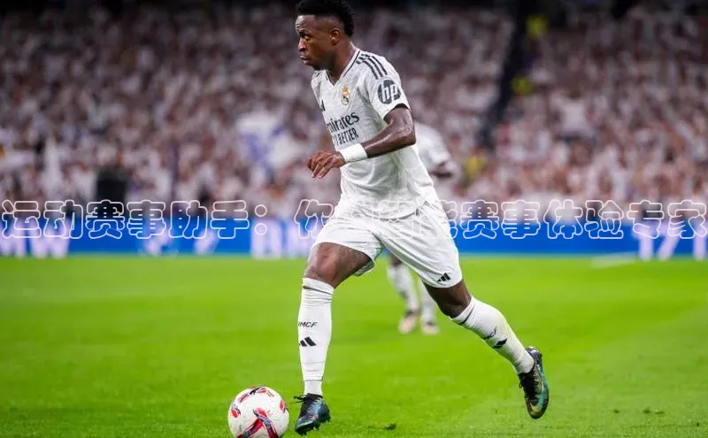 运动赛事助手：你的智能赛事体验专家