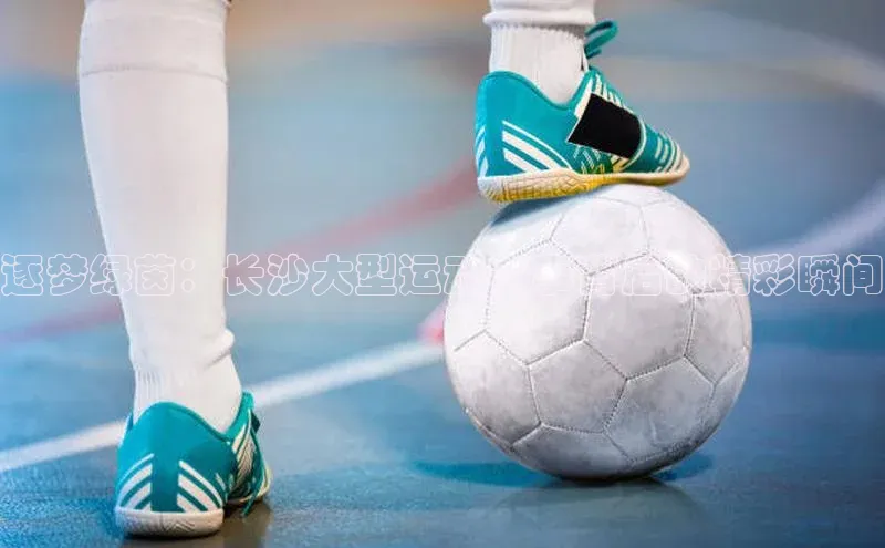 逐梦绿茵：长沙大型运动赛事背后的精彩瞬间