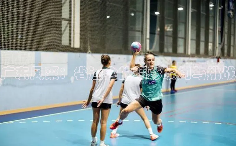 广东风采：省运会的精彩瞬间与挑战