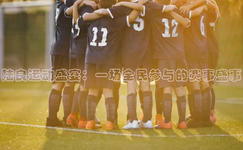 陆良运动盛宴：一场全民参与的赛事盛事