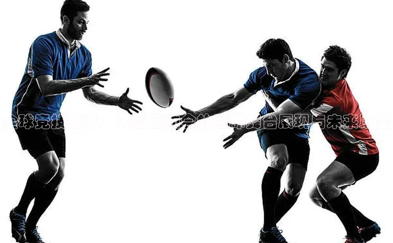 新宝gg官网登录地址