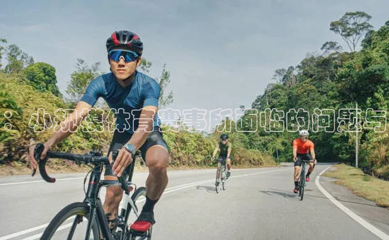 ：小规模体育赛事所面临的问题与