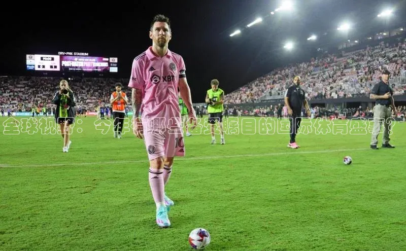 新宝网站登录入口