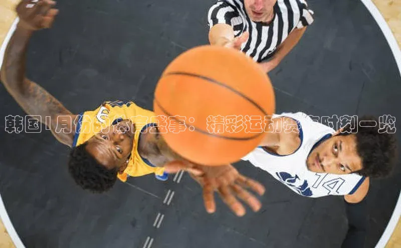 新宝gg创造奇迹登录入口网址